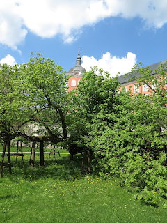 Green garden with leafy trees and a historic red building with a spire visible behind them