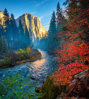 El Capitan cliff in Yosemite with autumn colored trees along the Merced River