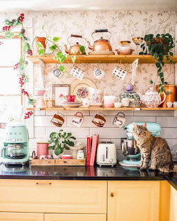 Cozy vintage kitchen with wooden shelves, colorful dishes, plants, and a tabby cat sitting on the yellow counter