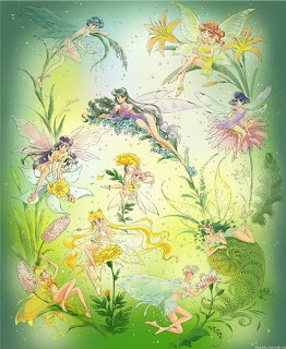 Flower Fairies Illustration