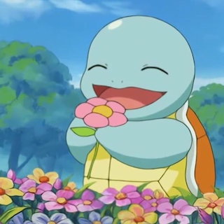 Squirtle with Flowers