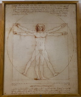 Vitruvian Man Leonardo da Vinci