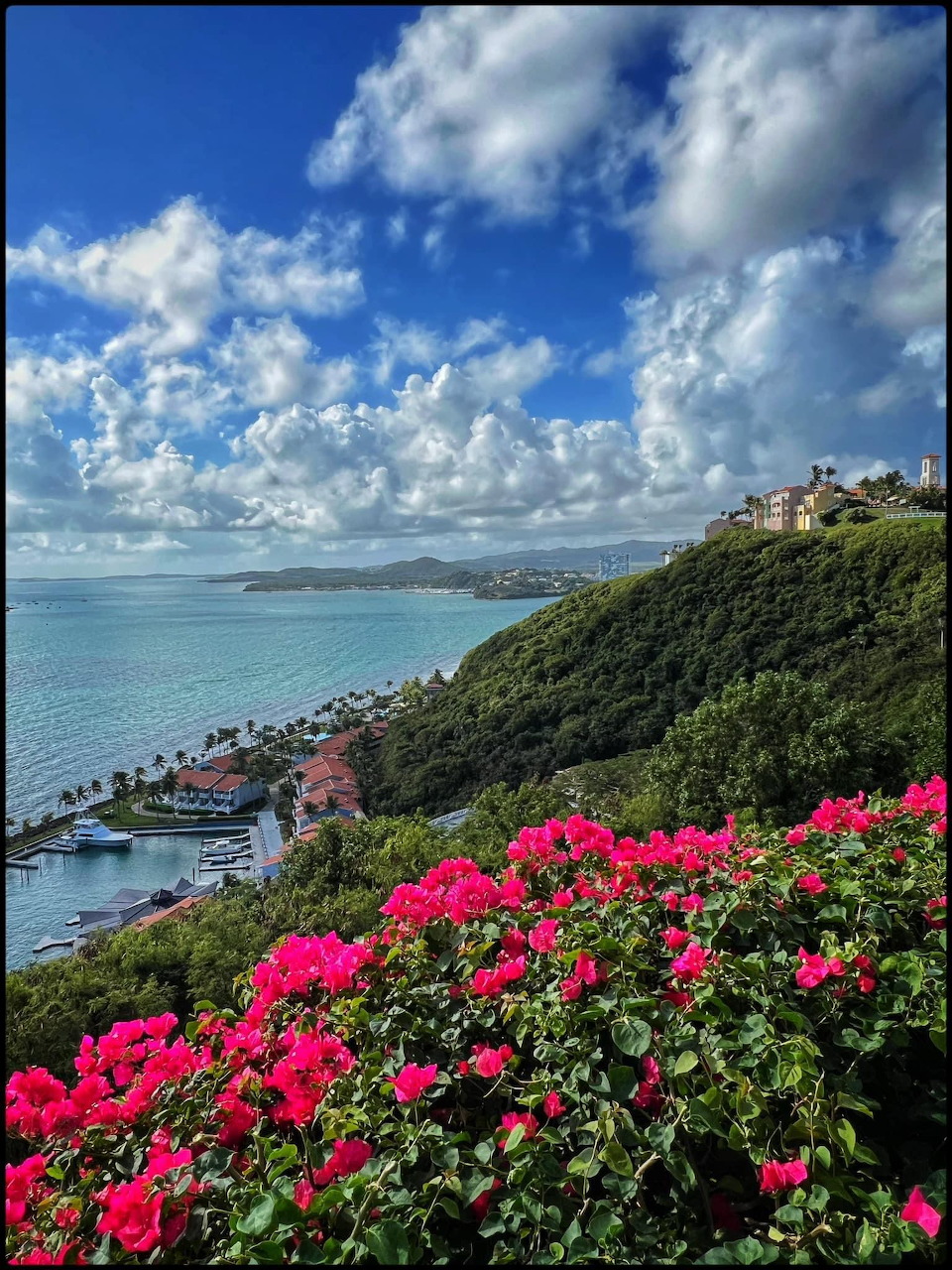 Coastal hillside view with pink flowers, turquoise bay, green hills, and cloudy blue sky