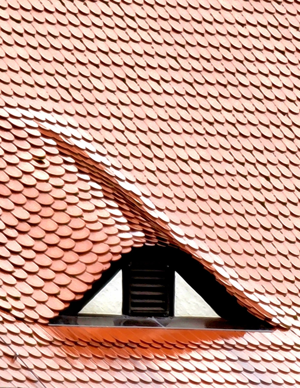 Dormer Roof Window