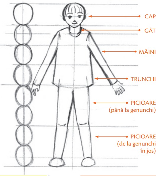 Pencil sketch of a child figure with Romanian labels indicating head, neck, hands, torso, and legs body parts