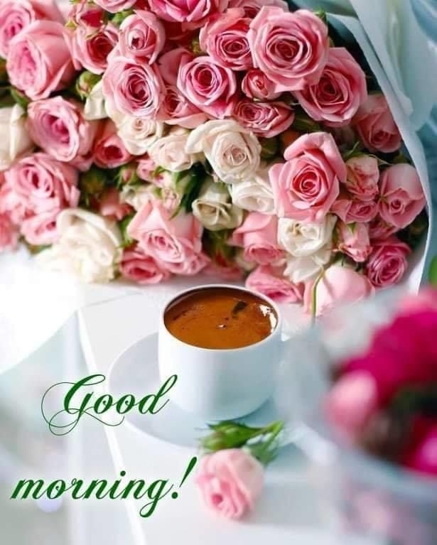 White cup of coffee beside a bouquet of pink and white roses with good morning text