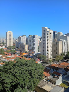 City view from a high window showing apartment towers, houses, trees, and blue sky
