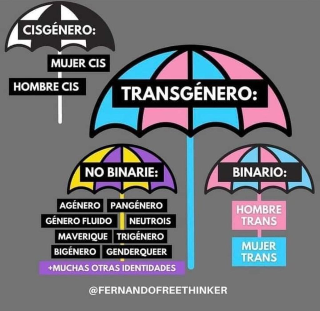 Spanish infographic of umbrella charts for cisgender, transgender, non-binary, and binary identities
