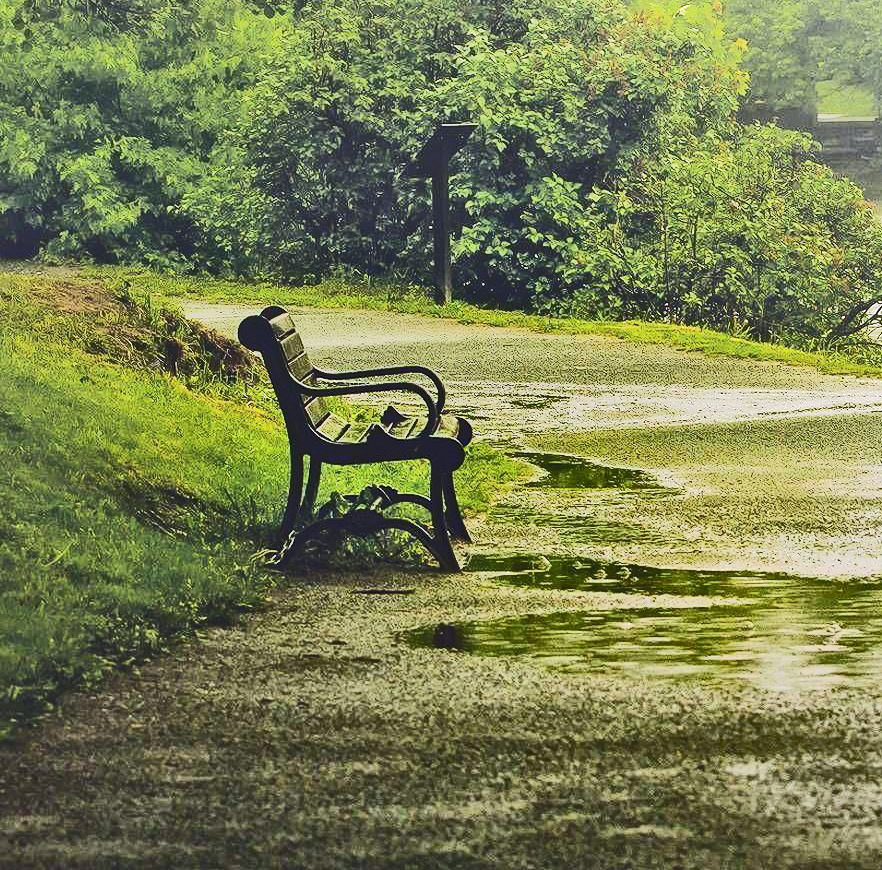 Ornate iron bench on wet path next to green grass and trees in sunshine