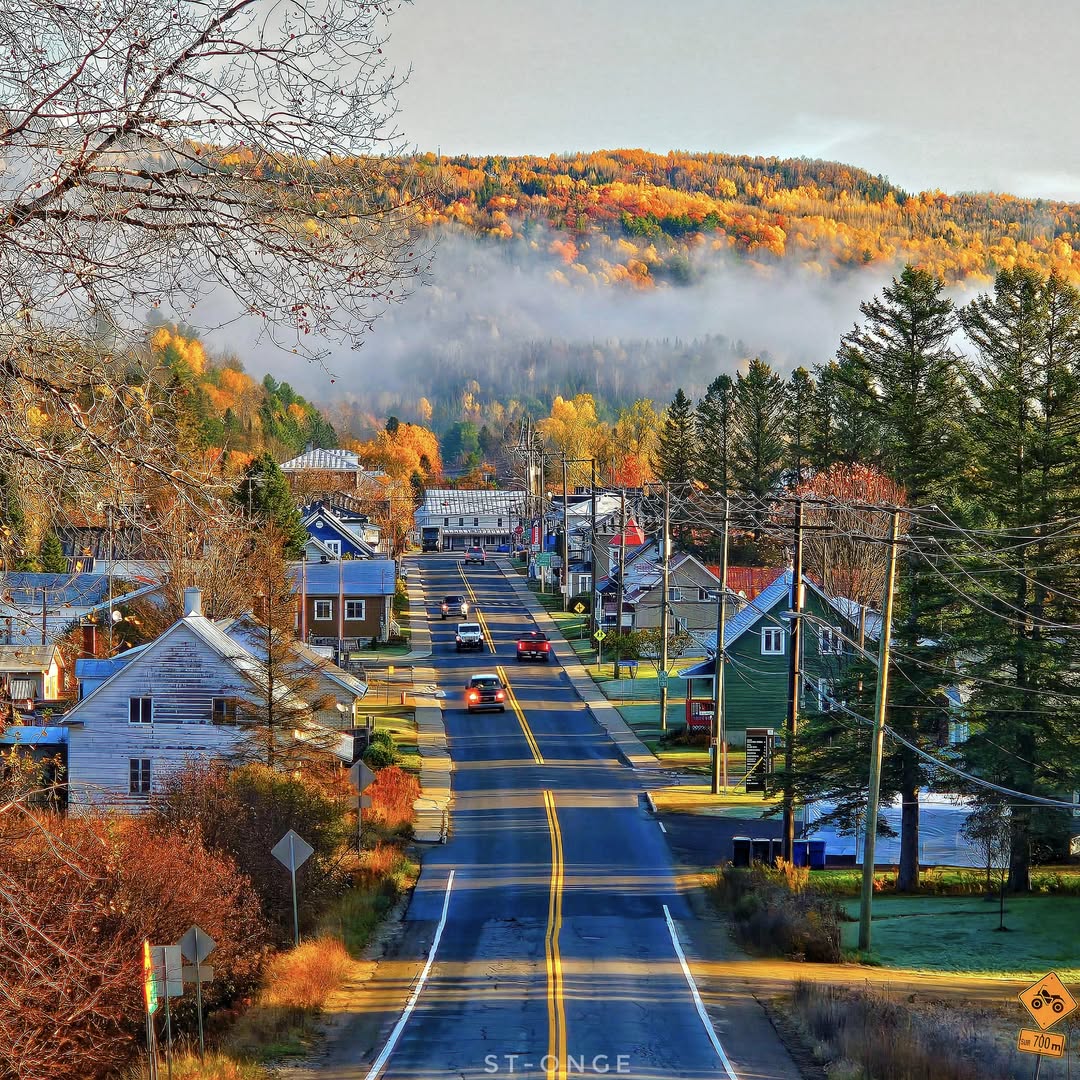 Aerial view of a tree-lined road running through a village in autumn with fog-covered hills behind