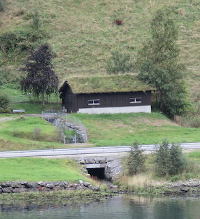 Dark wooden barn with grass roof on green hillside beside a road and water in Norway