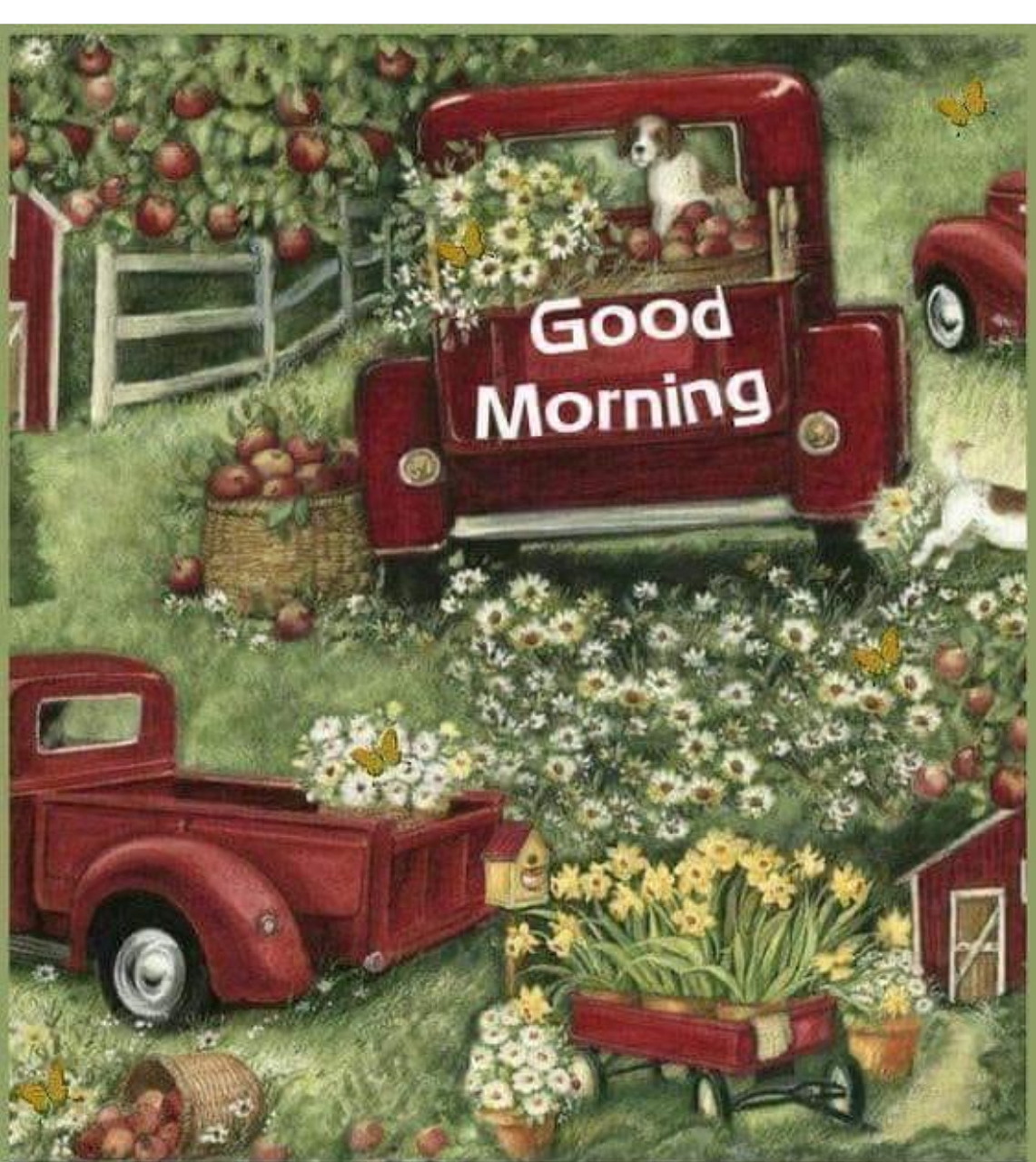 Two red vintage pickup trucks with flowers and apples in a green farm scene, with a dog and 'Good Morning' text