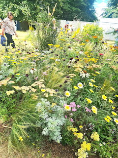 Lush garden bed with yellow daisies, pink blooms, white flowers and ornamental grasses under trees