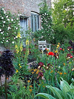 Vibrant cottage garden with red tulips, yellow flowers, white roses climbing stone wall, rustic shutters and bench