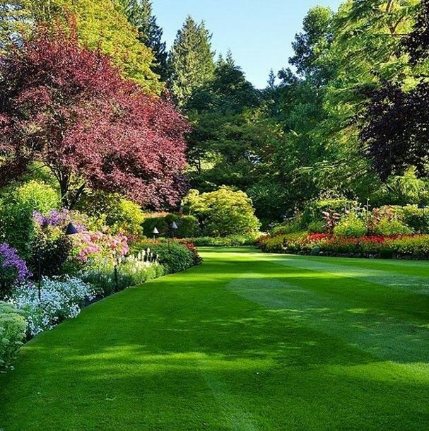 Landscaped garden with green lawn, flower beds, and tall trees