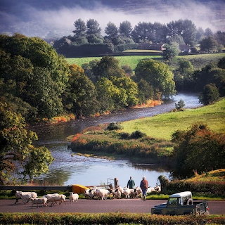 Irish Countryside River Landscape