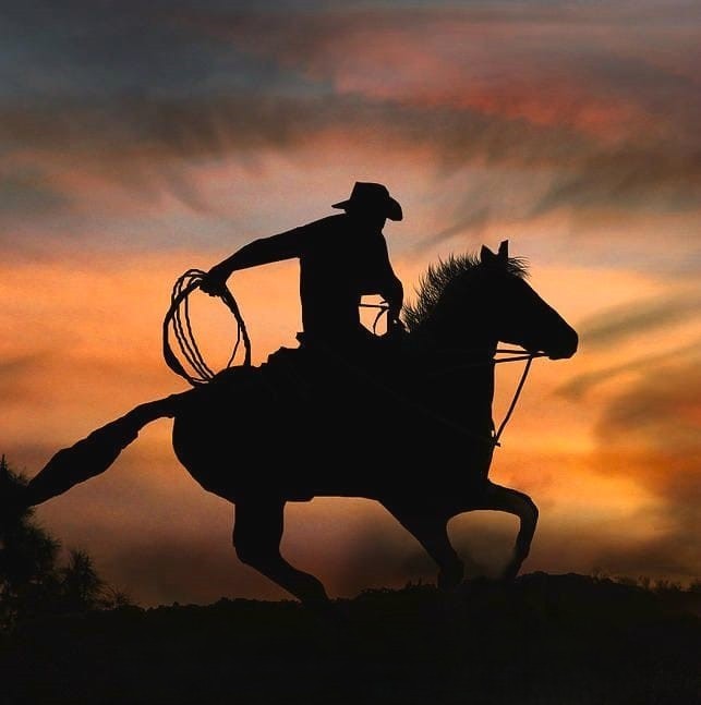 Cowboy on Horse
