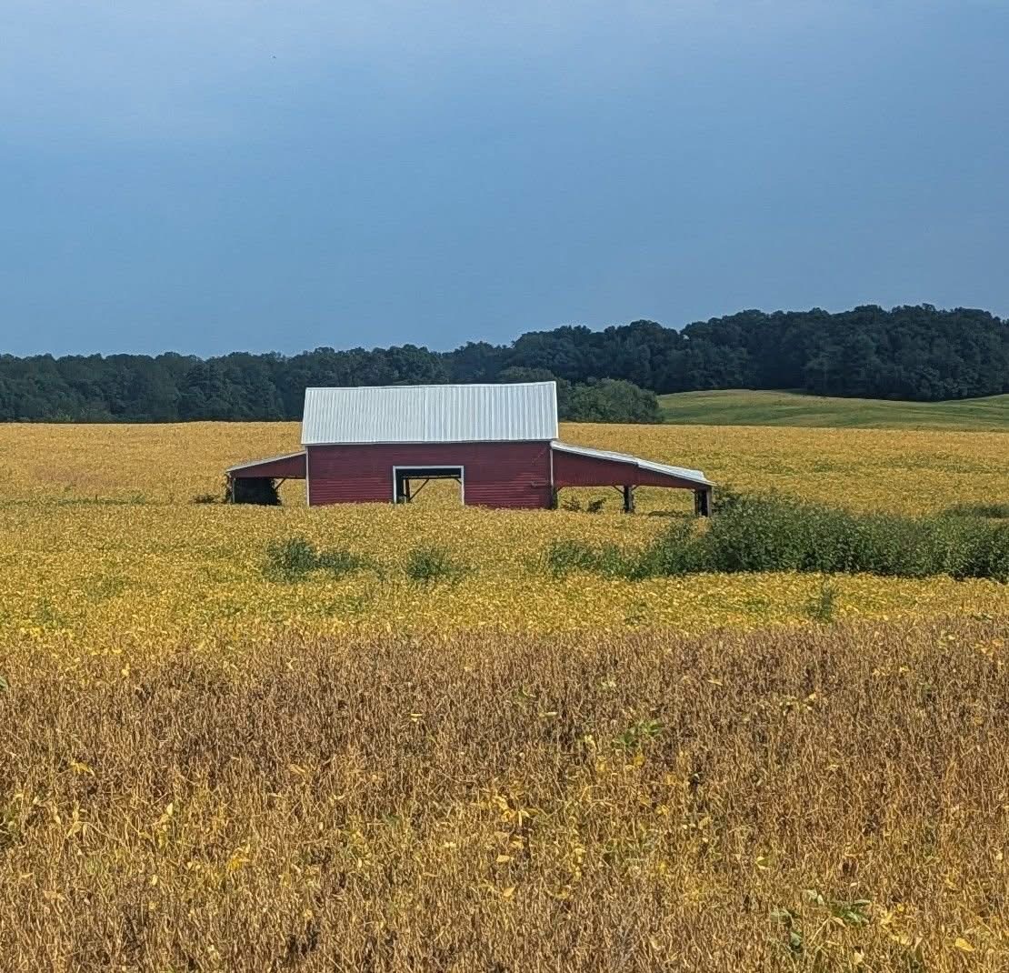 Red barn in a golden farm field under a dark blue sky