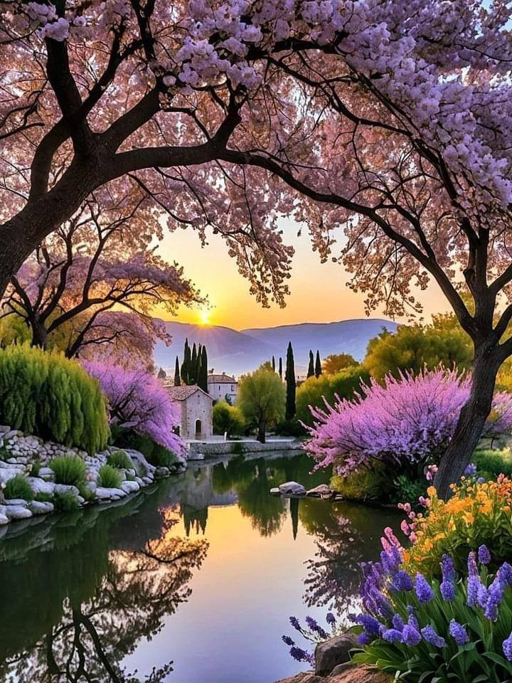 Spring garden with pink blossom trees, a calm pond, and colorful flowers around a small pavilion