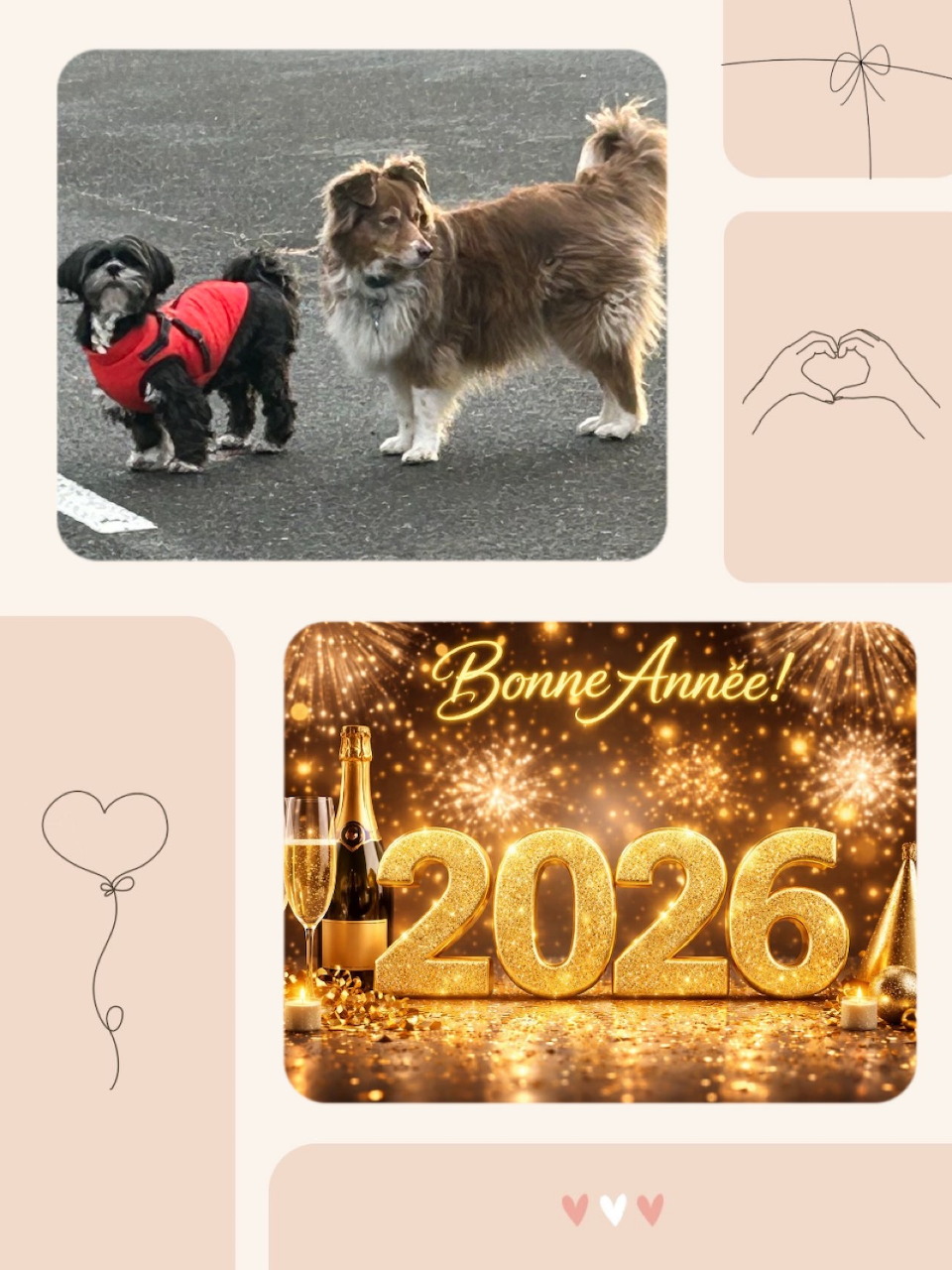 Two small dogs outdoors and a golden New Year 2026 celebration card with champagne glasses