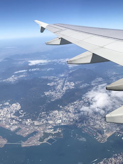 Airplane wing above a coastal city and ocean seen from the sky