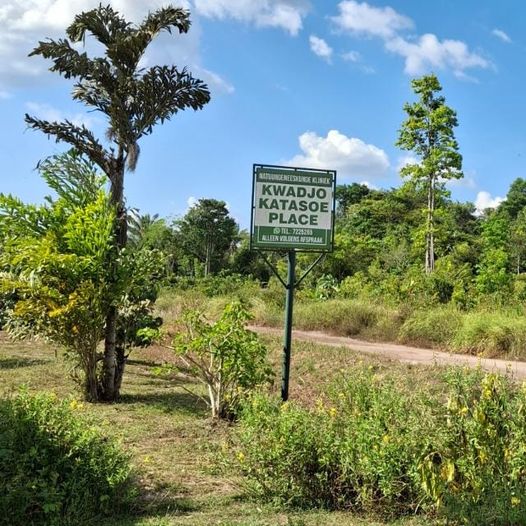 Roadside Kwadjo Katasoe Place sign beside a dirt road with trees and shrubs under a blue sky