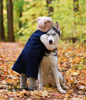 Child hugging a seated Husky puppy outdoors on fallen autumn leaves