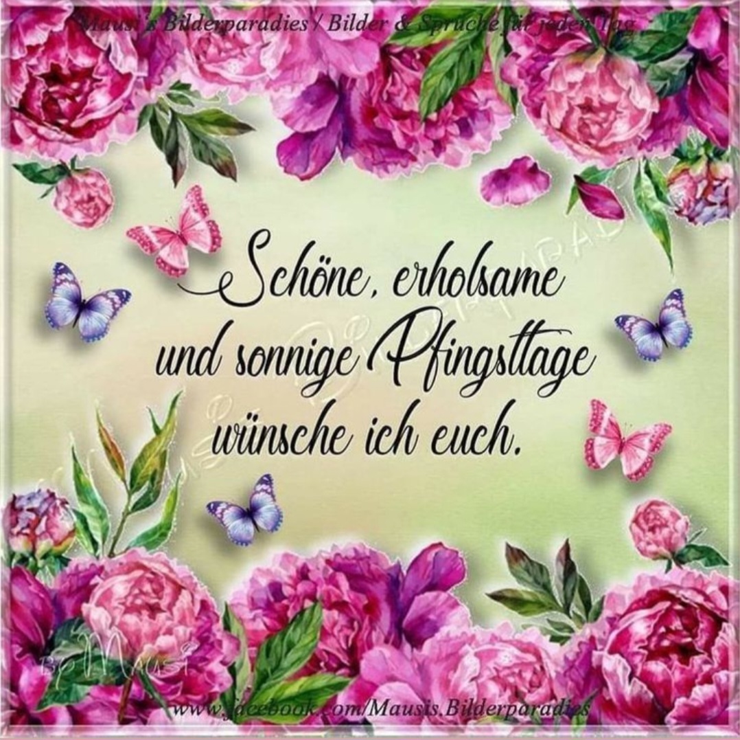 Floral greeting card with pink peonies, butterflies, and German text on a pale green background