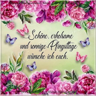 Pink Floral Greeting