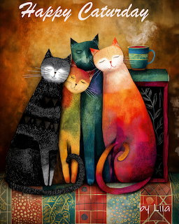 Colorful Cats with Books