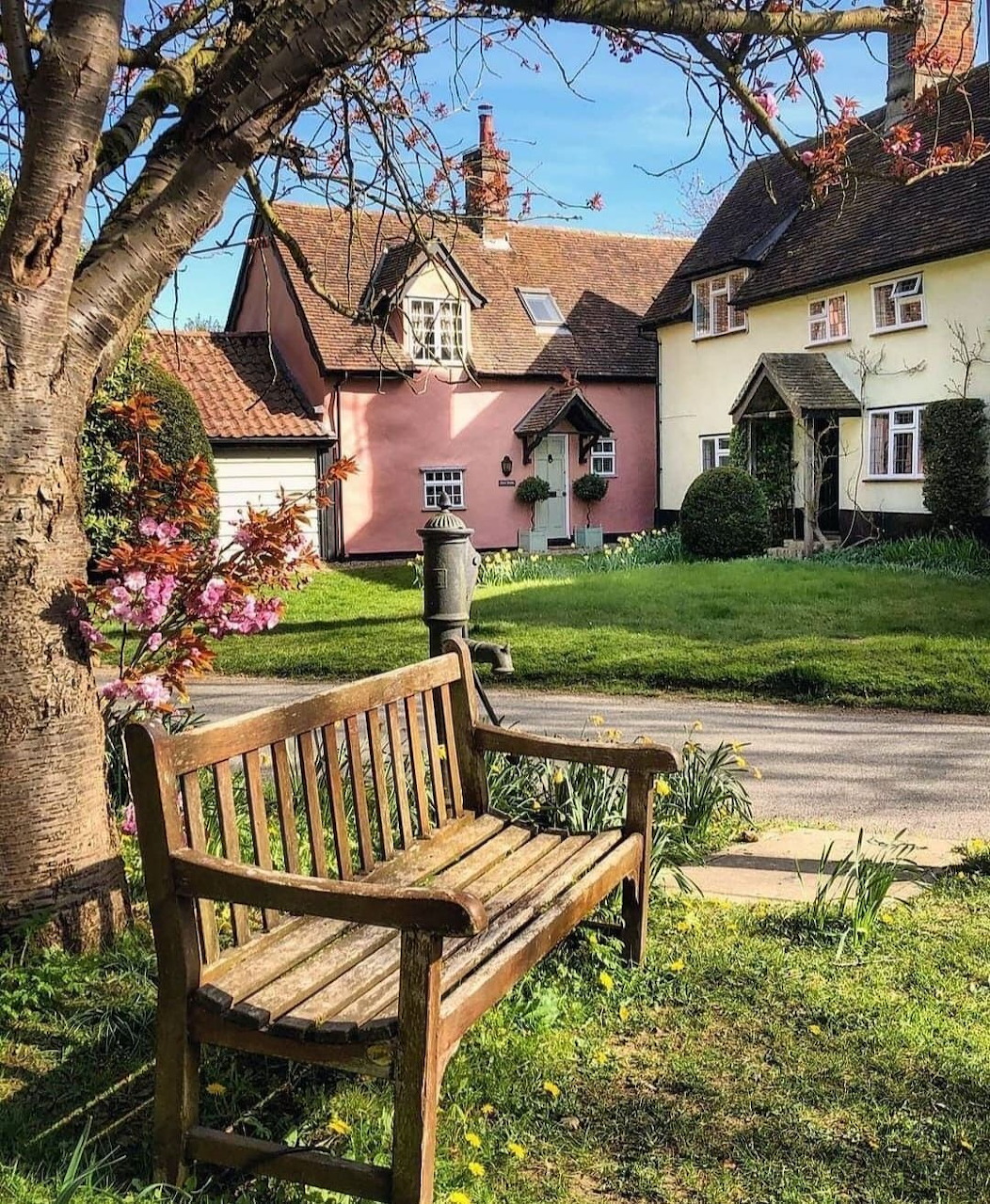 Wooden bench under a tree on a village green with pink and cream English cottages behind