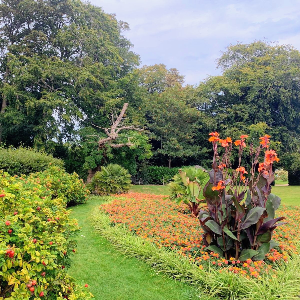 Formal garden with orange canna lilies, colorful flower beds, green lawn, and trees under cloudy sky