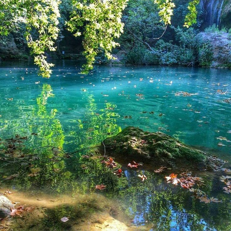 Turquoise Forest Lake