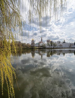 Weeping willow branches over tranquil lake reflecting cloudy sky and distant church towers
