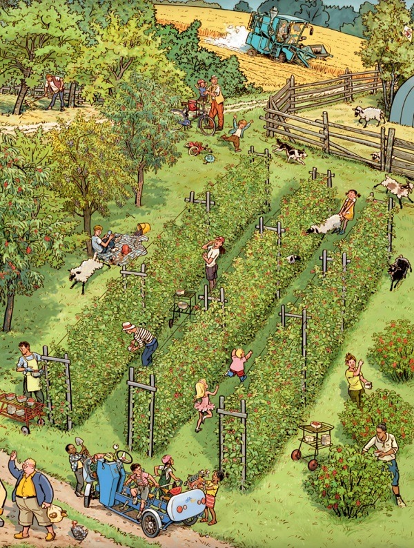 Illustrated orchard with workers harvesting fruit among trees and fences in a pastoral farm landscape
