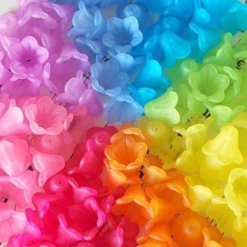 Rainbow Gradient Rose Flowers