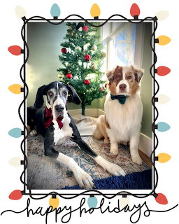 Two dogs wearing bow ties sitting in front of a Christmas tree with holiday lights border