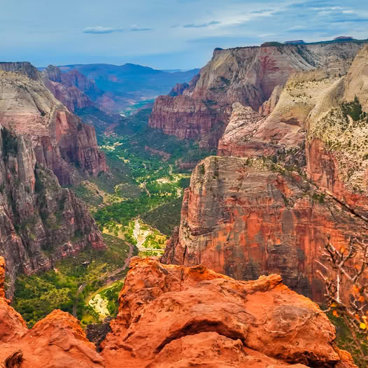 Sweeping canyon view showing layered red rock cliffs, lush green valley, and blue sky at Zion National Park