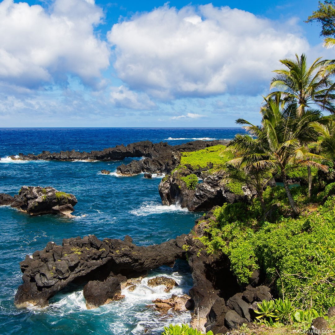 Black volcanic rocks jutting into blue ocean water with green coastal vegetation and palm trees under cloudy sky