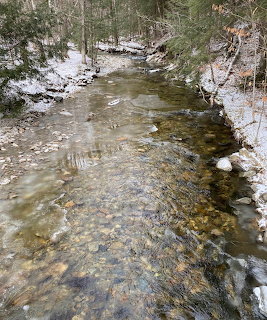 Clear shallow brook flowing through snow-covered forest in winter with visible rocks beneath the water