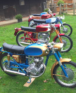 Three vintage Ducati motorcycles lined up on grass, blue in front, red and white behind