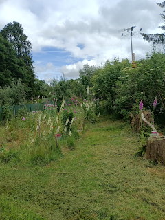 Summer Garden in France