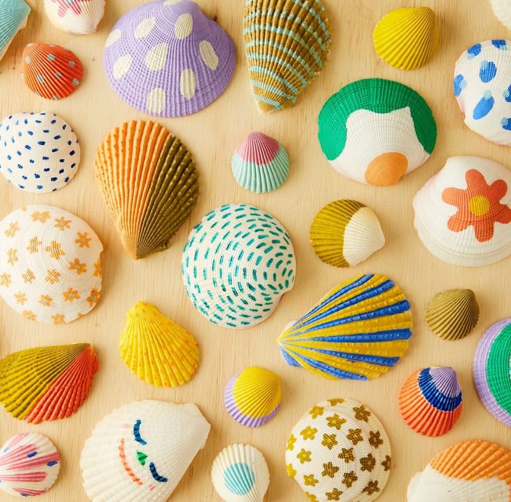 Colorful Painted Seashells