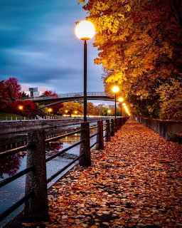 Leaf-covered canal walkway at dusk with glowing lampposts and autumn-colored trees