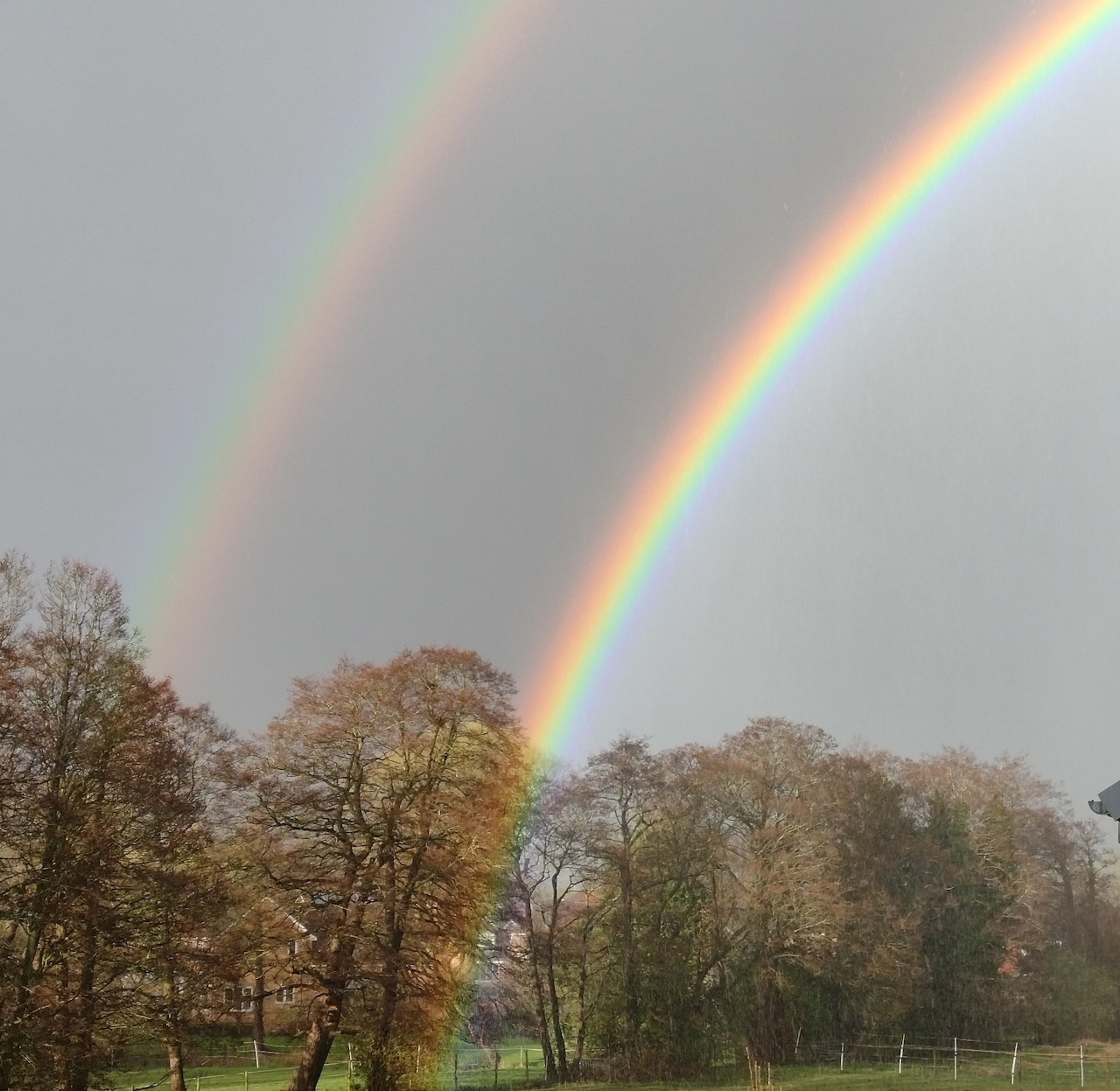 Double rainbow arcing over bare trees against an overcast sky