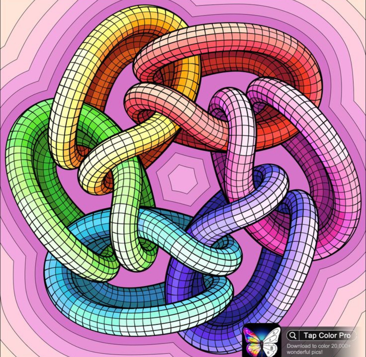 Rainbow Interlocking Torus Knot
