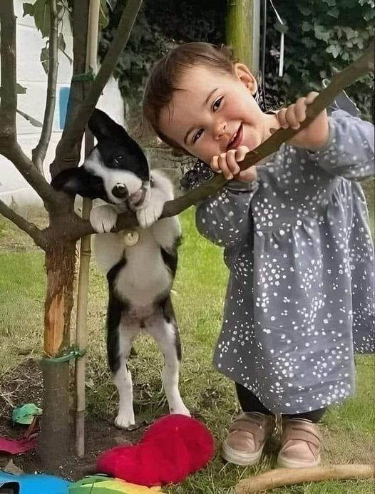 Smiling girl in polka dot dress holding a Husky puppy outdoors