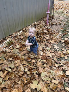 Toddler sitting in a pile of brown and yellow autumn leaves in a backyard