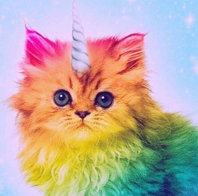 Fluffy rainbow-colored kitten with a unicorn horn on a pastel background
