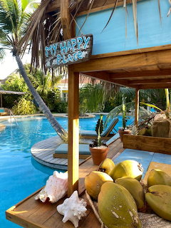 Coconuts and seashells on a wooden table beside a turquoise pool with palm trees and a 'My Happy Place' sign